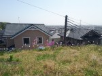 屋根
